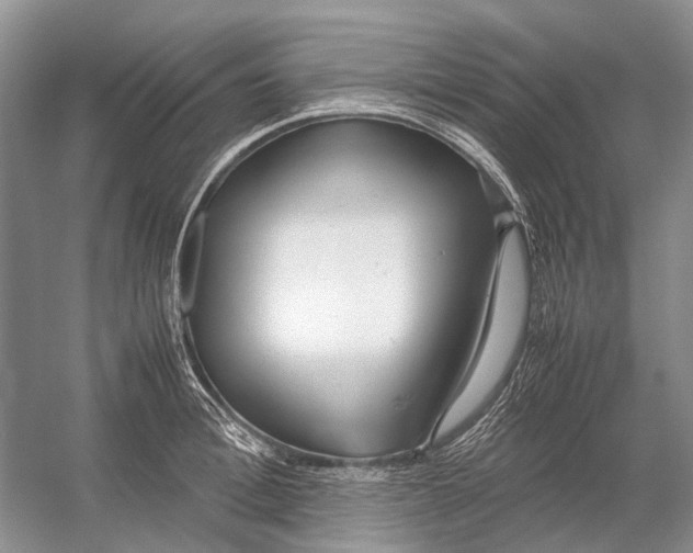 X0000054370996200508262336