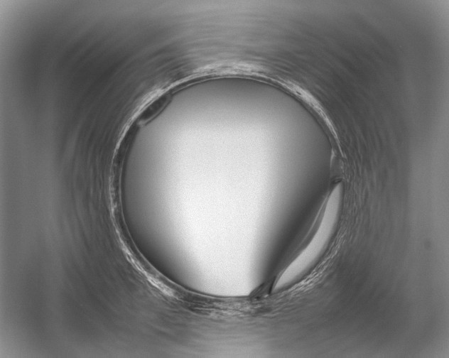 X0000054370997200508262336