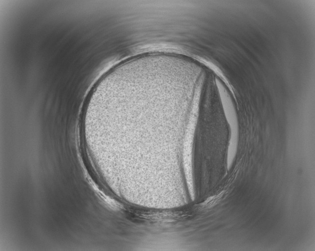 X0000054370999200508262336