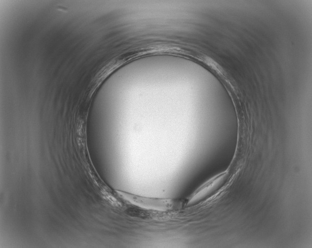 X0000054371001200508262336