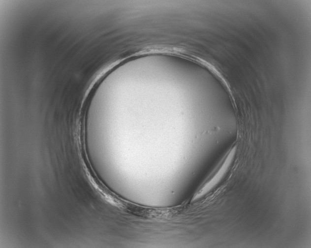 X0000054371003200508262336