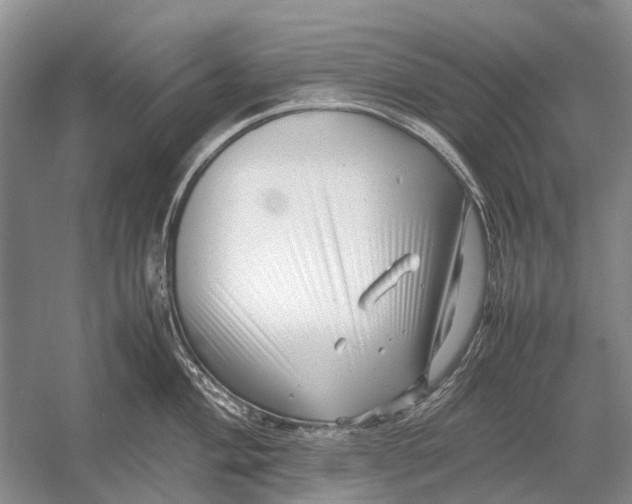 X0000054371004200508262336