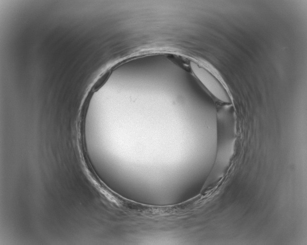 X0000054371005200508262336