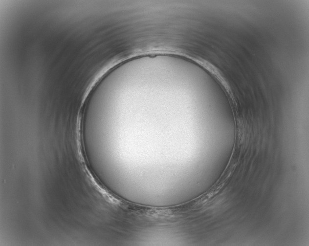 X0000054371006200508262336