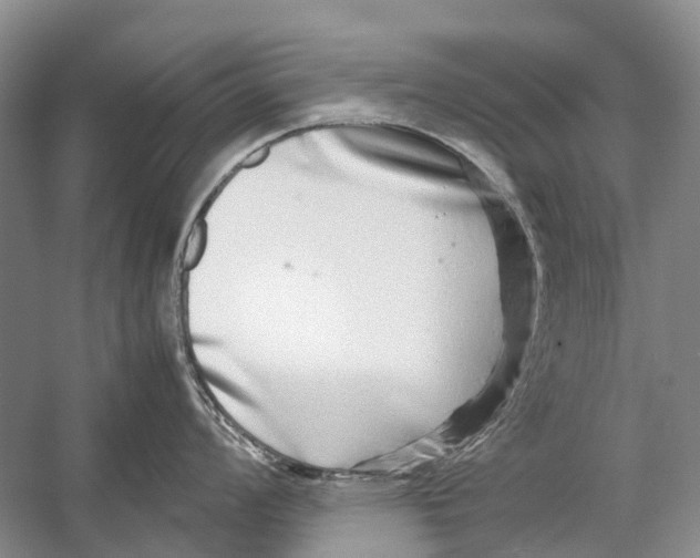 X0000054371008200508262336