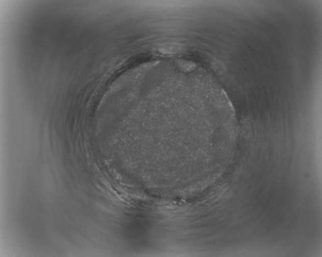 X0000054371009200508262335