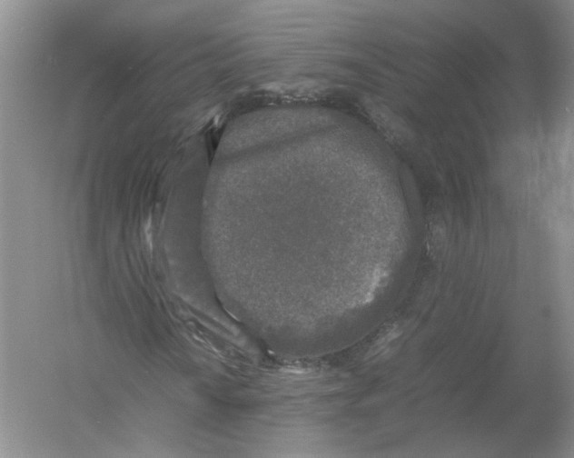 X0000054371010200508262335