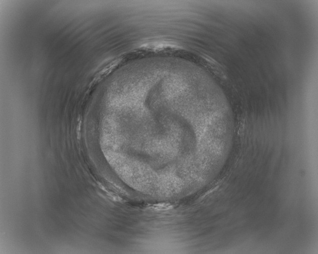 X0000054371014200508262335