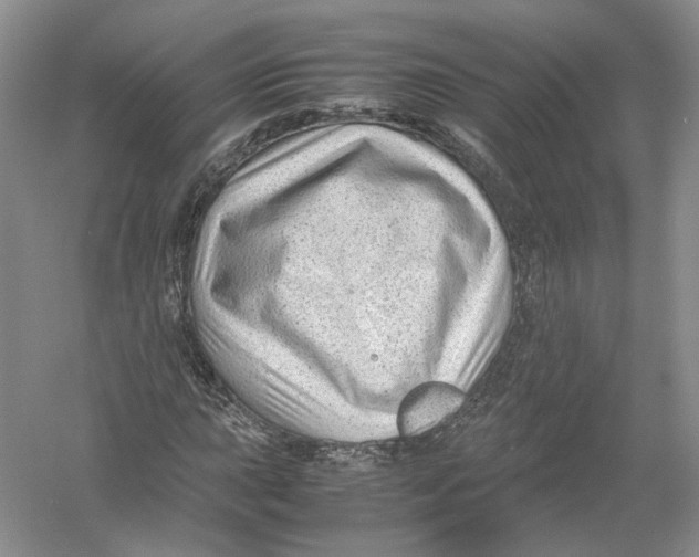 X0000054371015200508262335