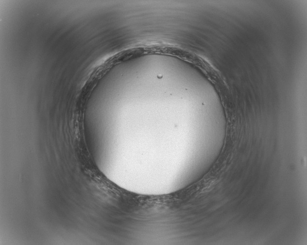 X0000054371016200508262335