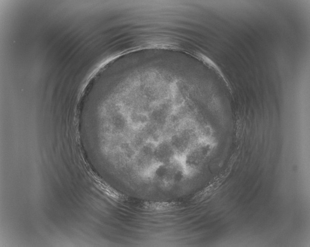 X0000054371019200508262335