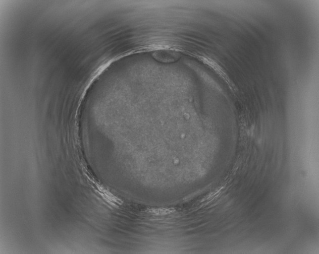 X0000054371023200508262335