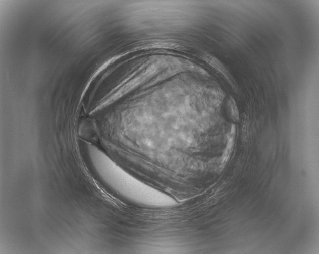 X0000054371024200508262335