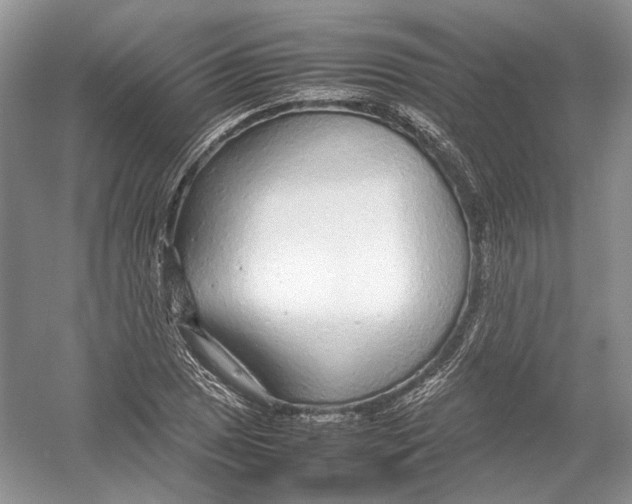 X0000054371025200508262336