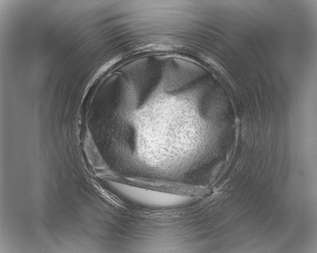 X0000054371026200508262336