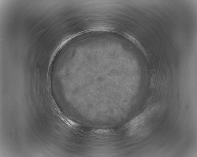 X0000054371027200508262336