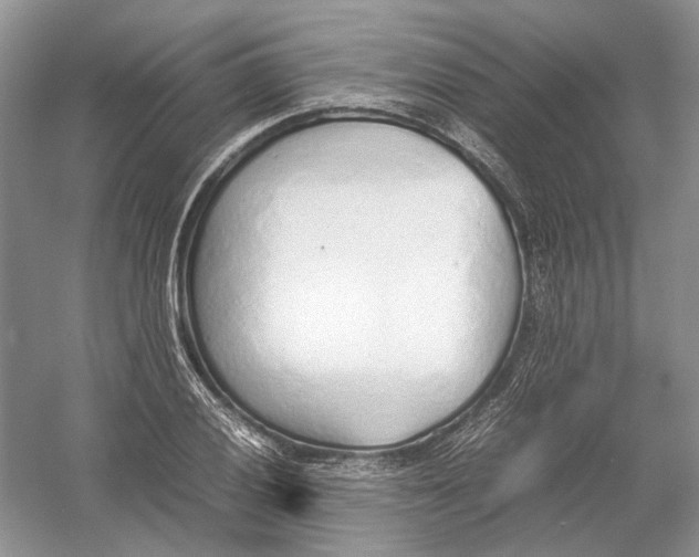 X0000054371028200508262336