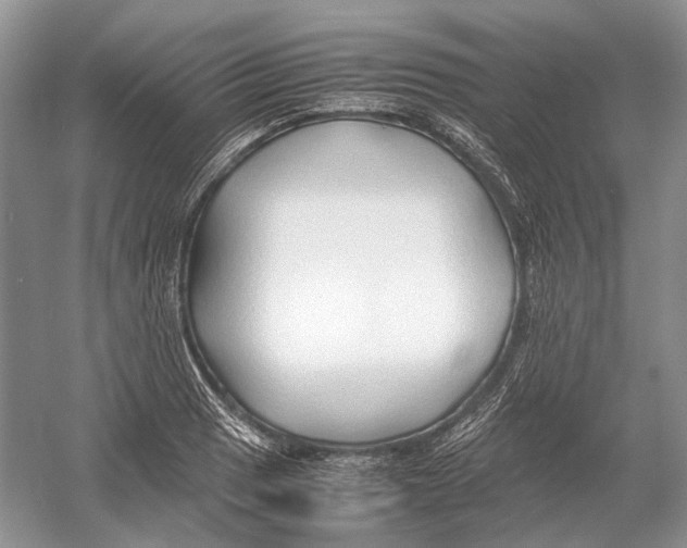 X0000054371033200508262336