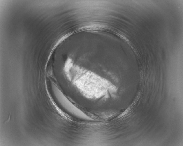 X0000054371034200508262336