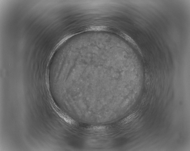 X0000054371035200508262336