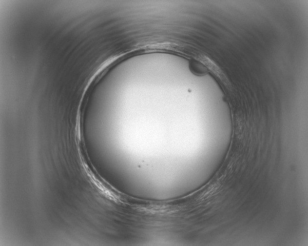 X0000054371036200508262336