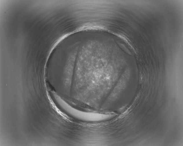 X0000054371038200508262336