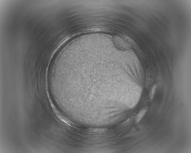 X0000054371039200508262336