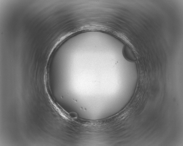 X0000054371040200508262336