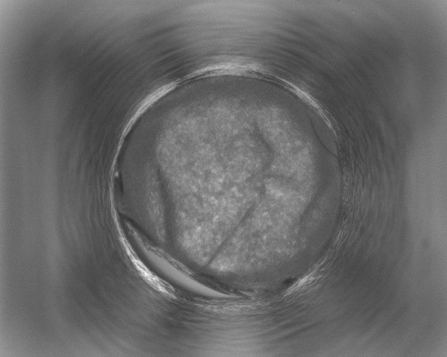 X0000054371042200508262336