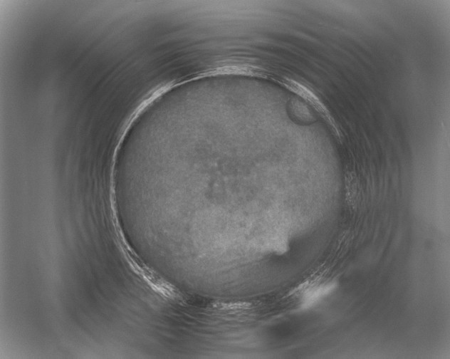 X0000054371043200508262336