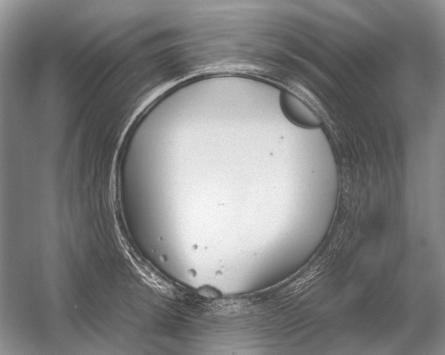 X0000054371044200508262336