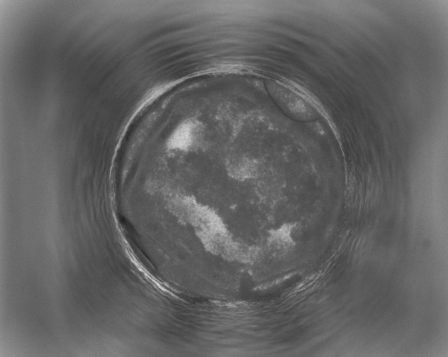 X0000054371045200508262336