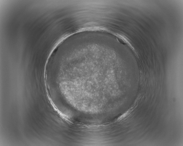 X0000054371046200508262336