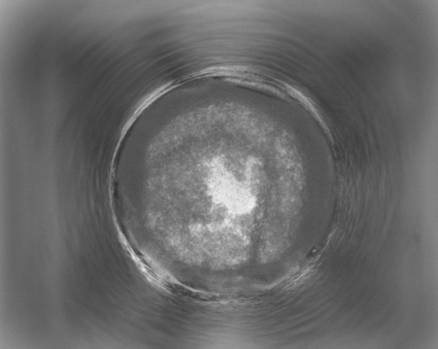 X0000054371050200508262336