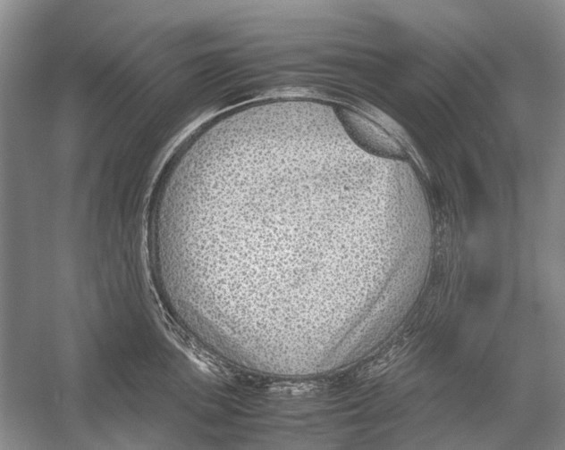 X0000054371051200508262336