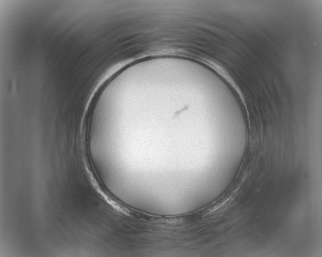 X0000054371053200508262336