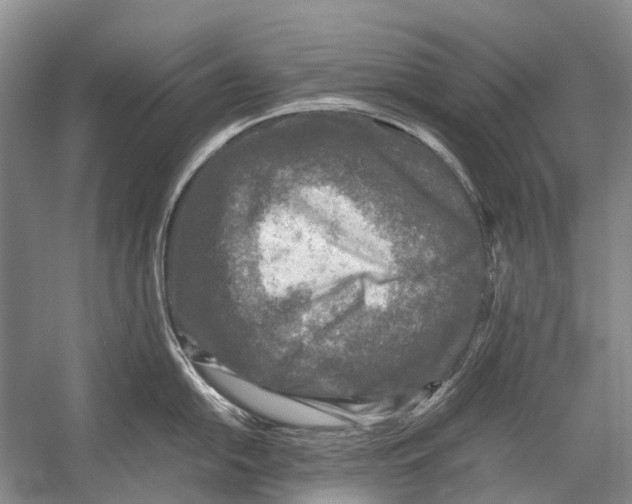 X0000054371054200508262336