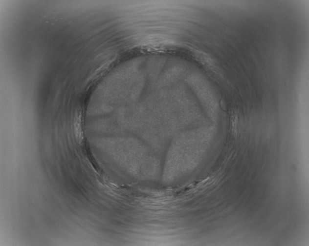 X0000054371060200508262335