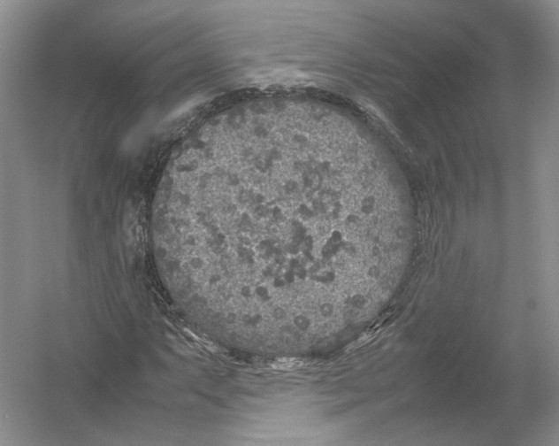 X0000054371063200508262335