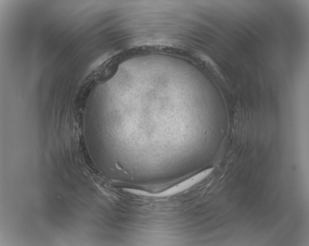 X0000054371064200508262335