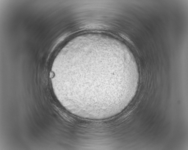 X0000054371067200508262335