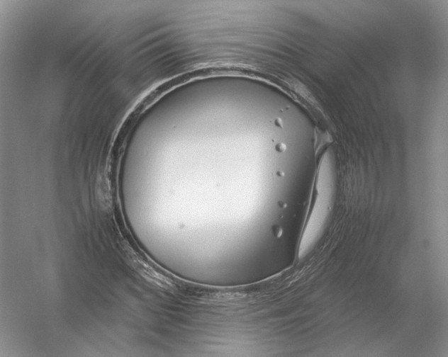 X0000054371068200508262335