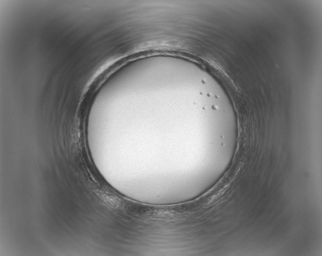 X0000054371070200508262335