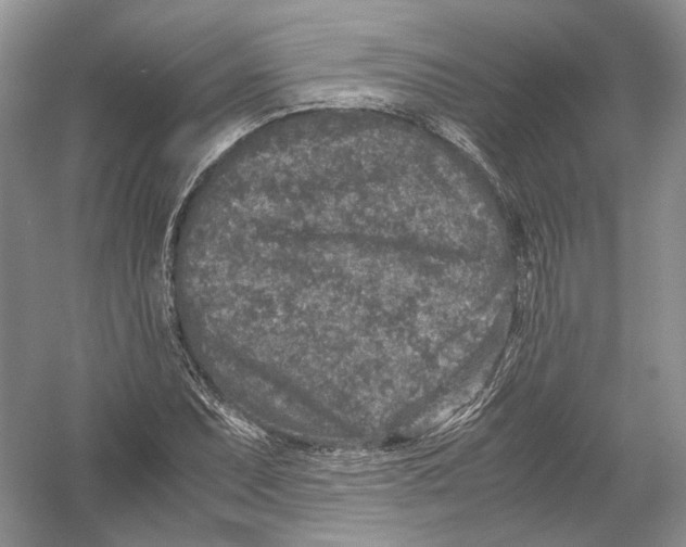 X0000054371071200508262335