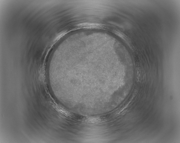 X0000054371074200508262335