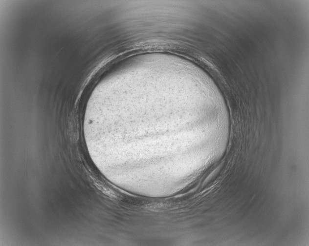 X0000054371075200508262335