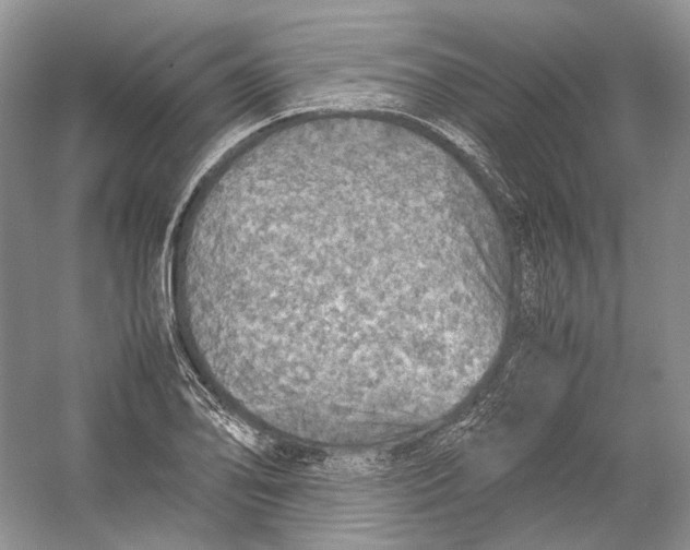 X0000054371078200508262335