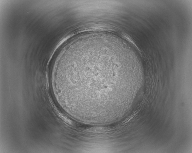 X0000054371079200508262335