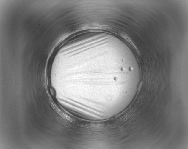 X0000054371080200508262335