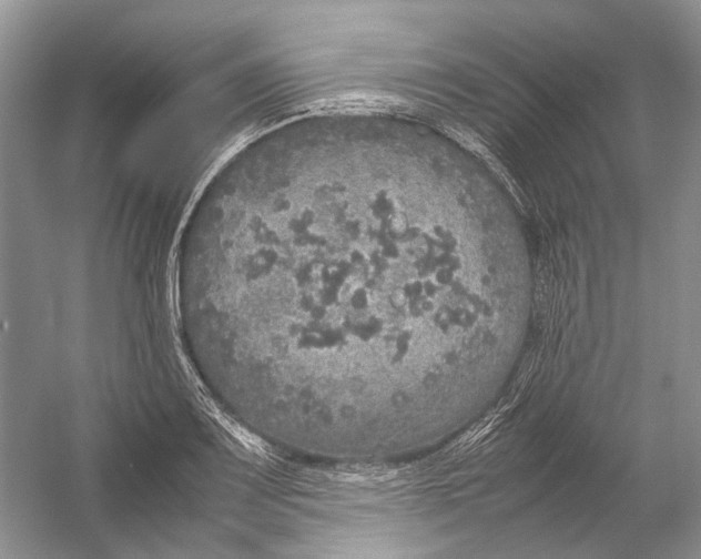 X0000054371083200508262335